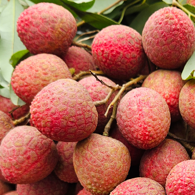 Bedana Lychee- 250