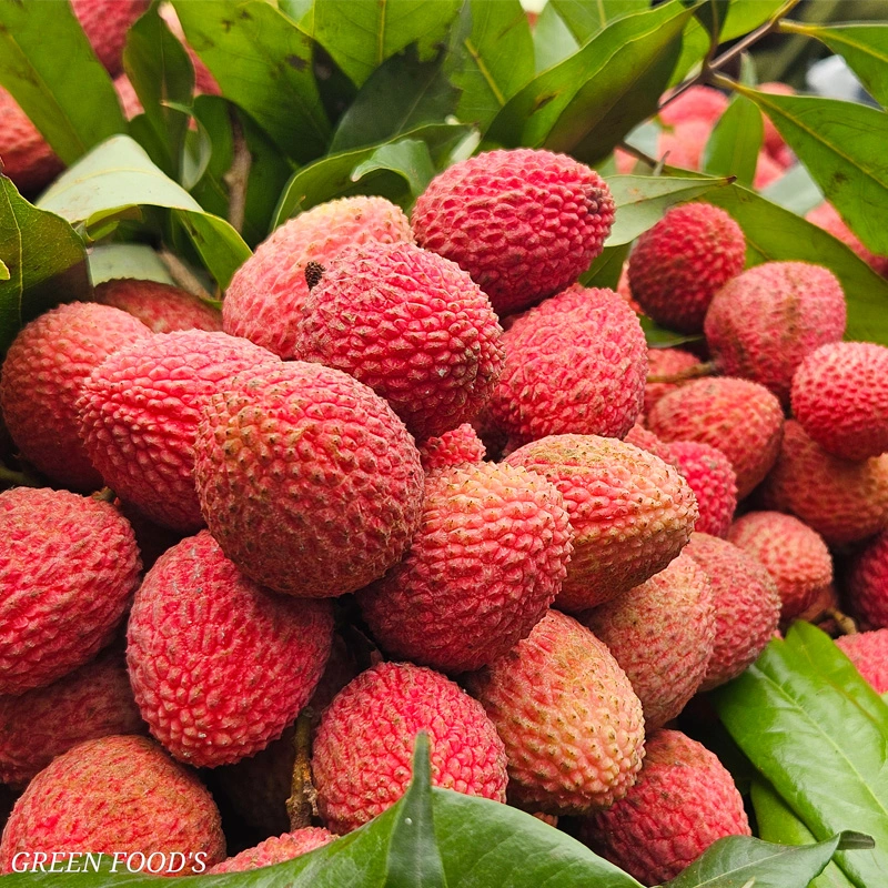 Bumbai Lychee- 500 piece